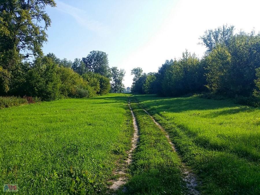 droga nad Wisłę