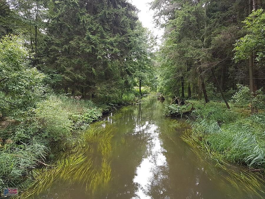 Widok na Czarną Hańczę