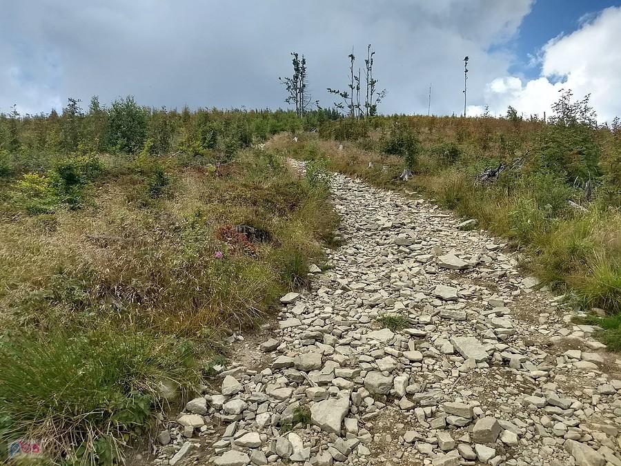 To nie jest droga, która nam się podoba