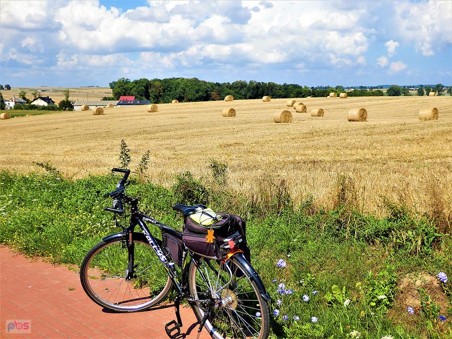 Wycieczka rowerowa po okolicy Tczewa. Upalnie...
