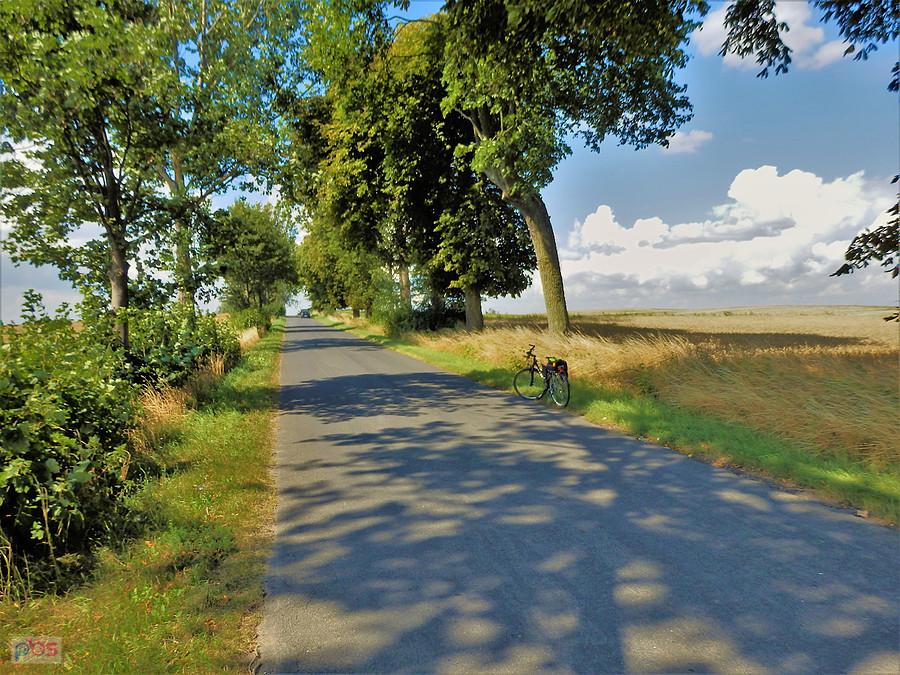 Wycieczka rowerowa po okolicy Tczewa. Upalnie...