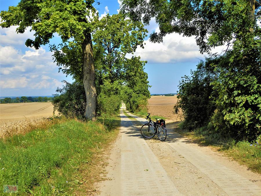 Wycieczka rowerowa po okolicy Tczewa. Upalnie...
