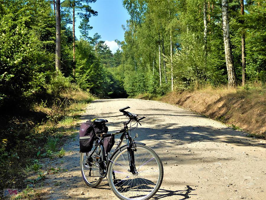 Wycieczka rowerowa po okolicy Tczewa. Upalnie...