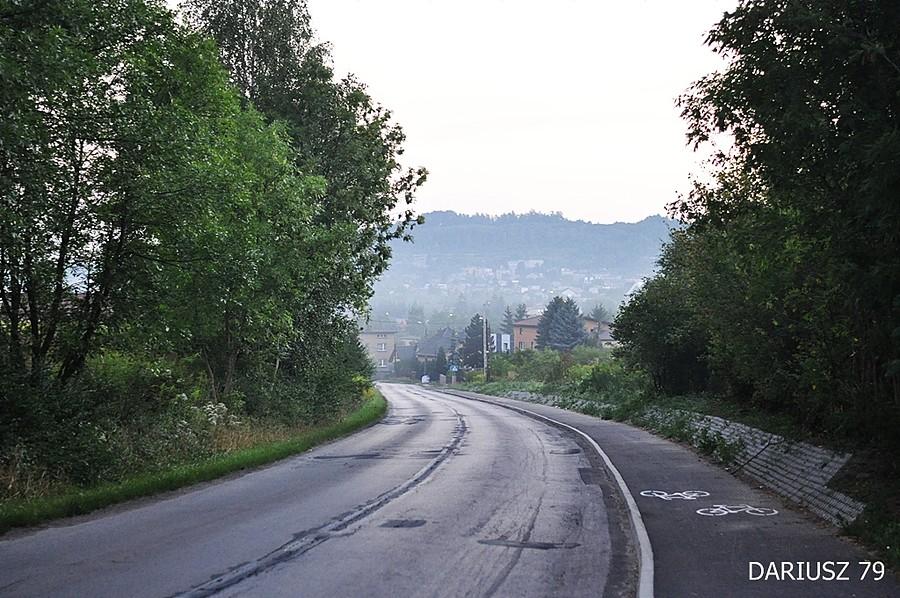 Rogożnik