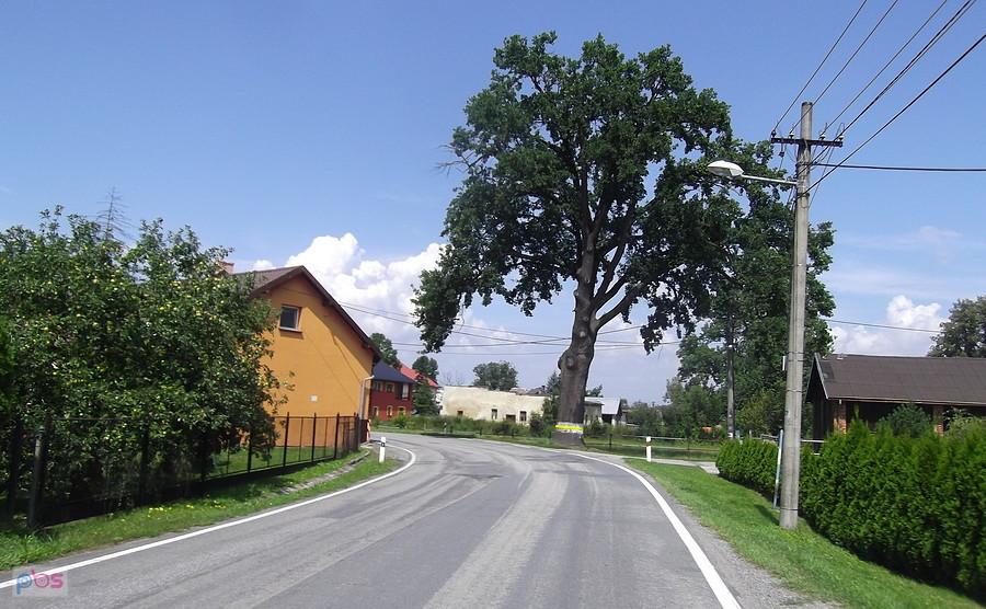 Petrovice u Karviny