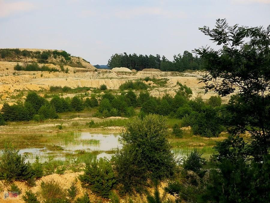 Żaby kumkają - Inowłódz