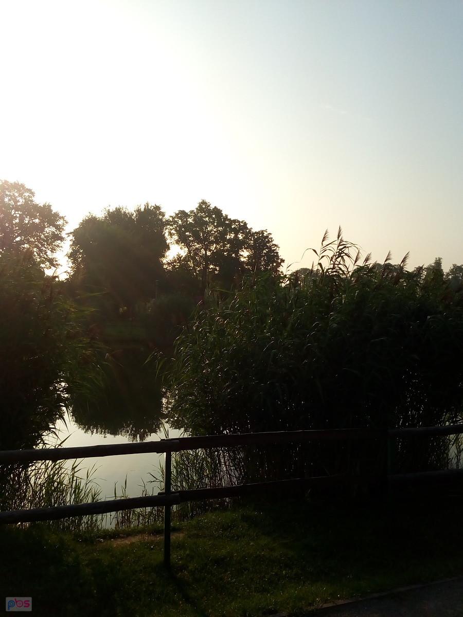 Potem drugi staw
