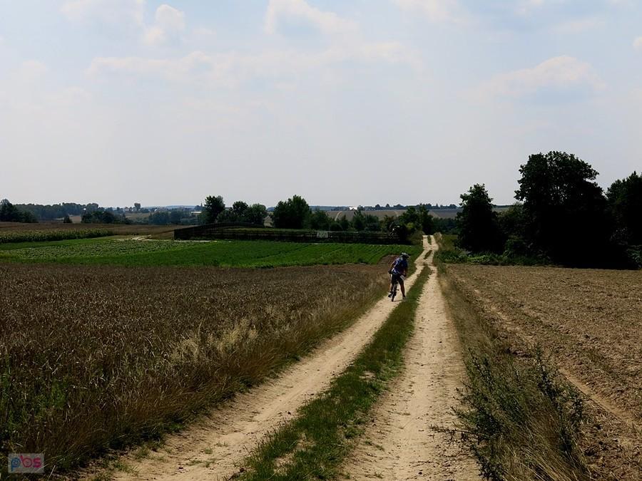 Polną drogą, szlakiem rowerowym