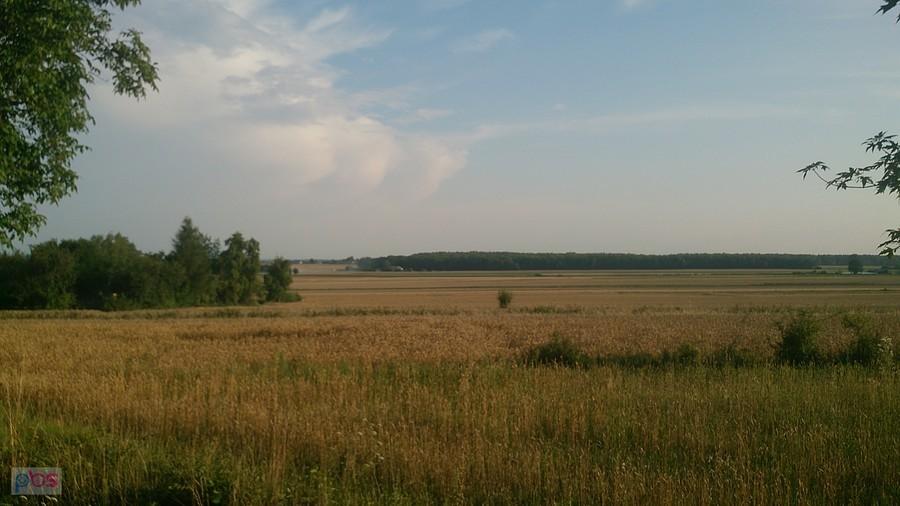 Pola w okolicach Kajetanówki