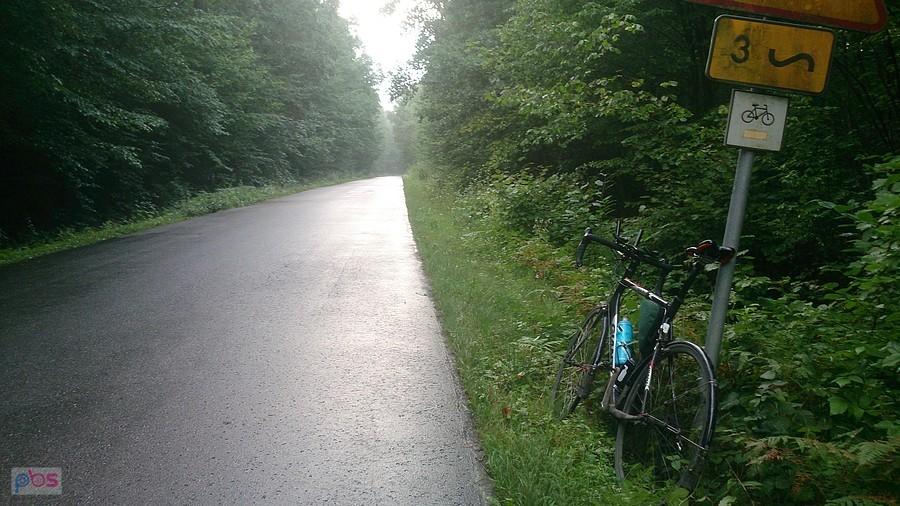 Giant zaparkowany na poboczu