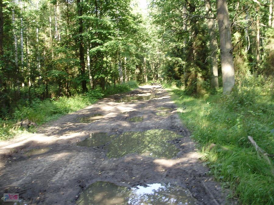Szlak rowerowy Cieszowa - Boronów. Ok. 5 km. odcinek cięzkiej drogi.
