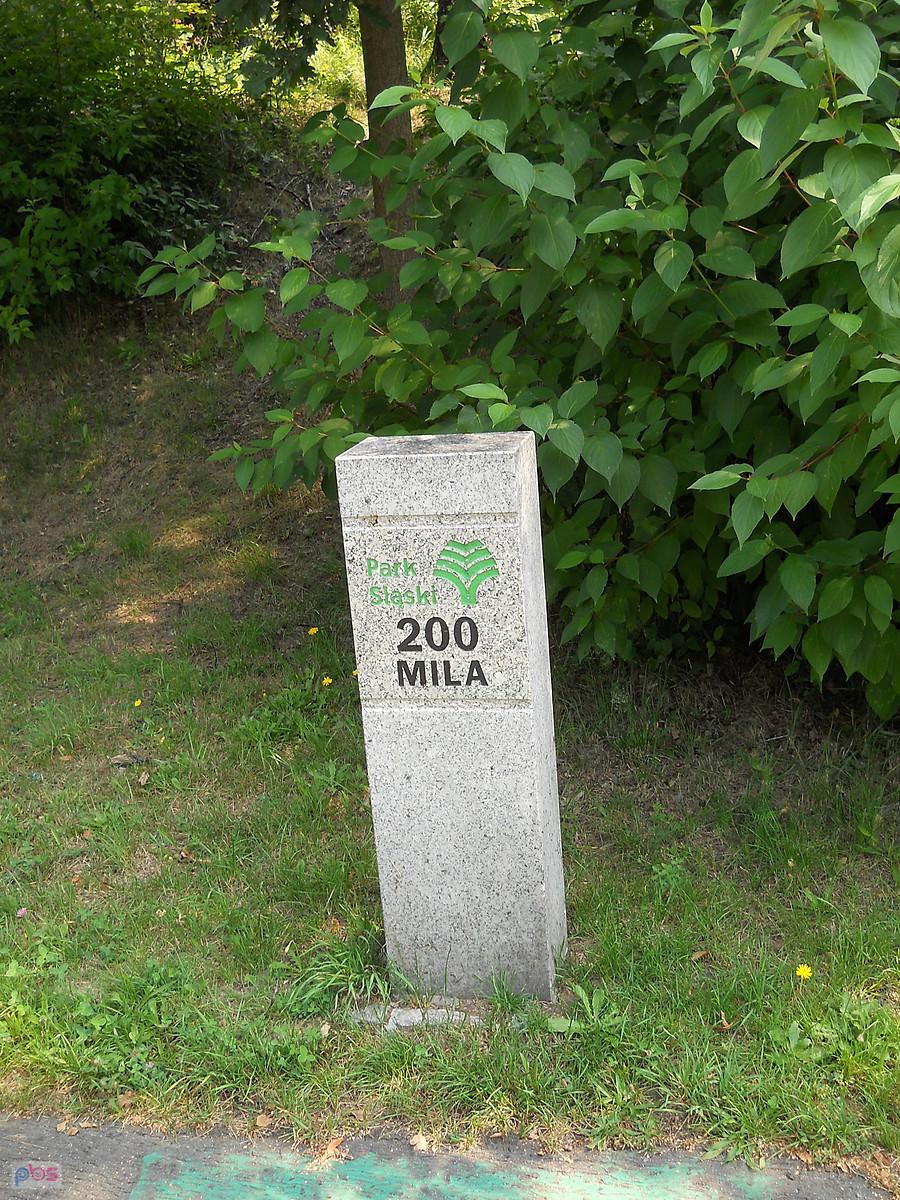 mila