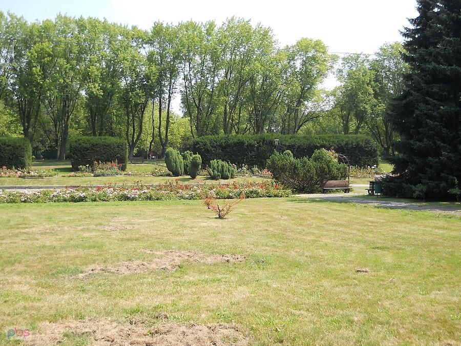 Rosarium