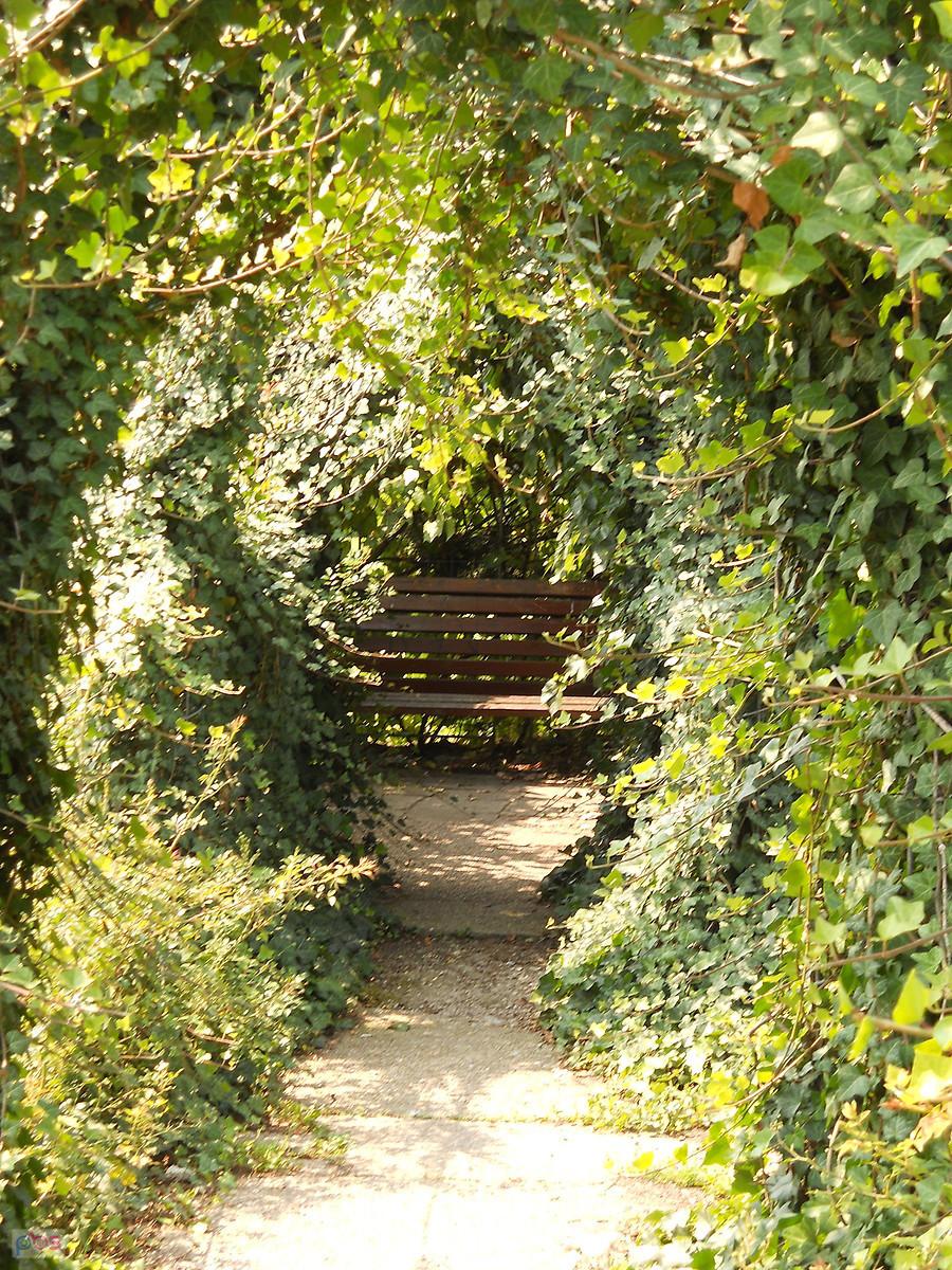 pergola