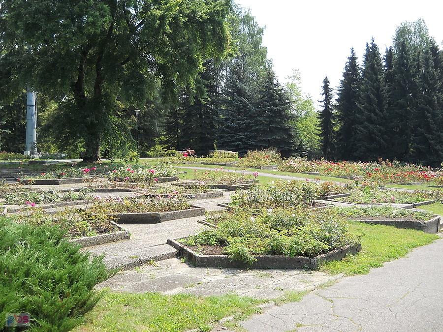 Rosarium