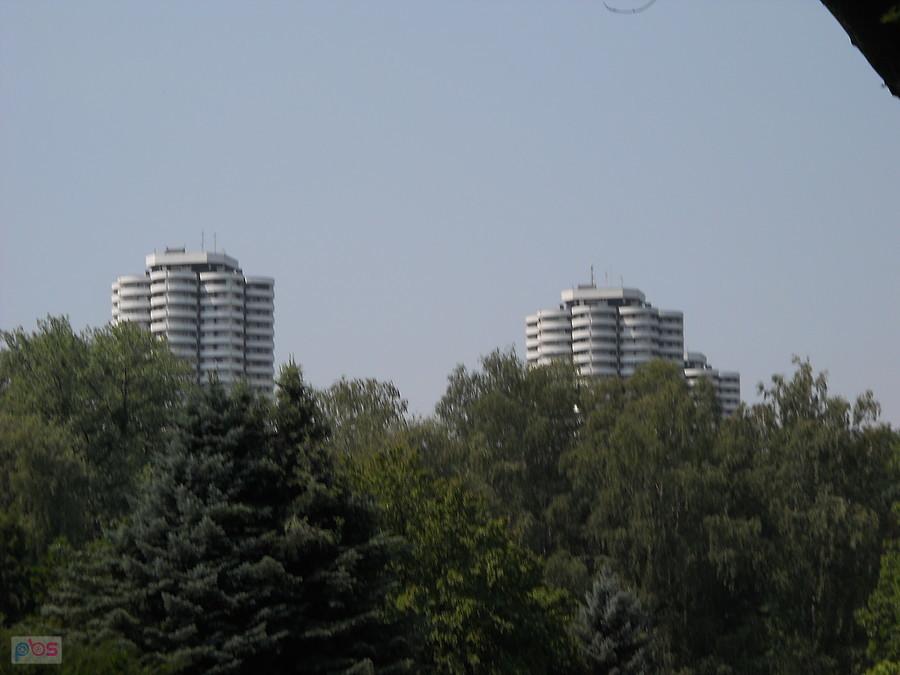 Kukurydza