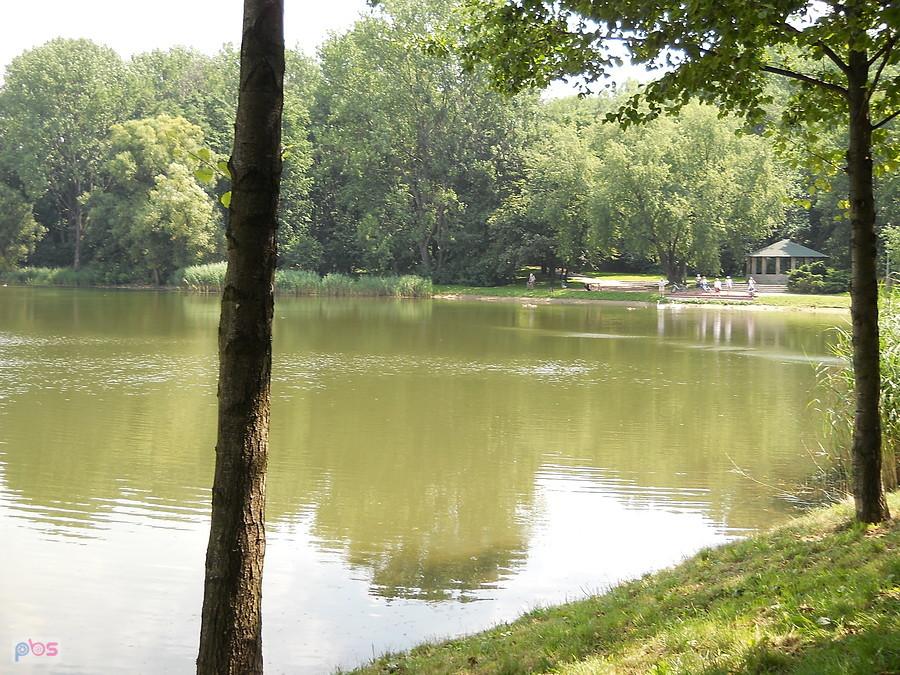 tam jest łabędziarnia czy coś takiego