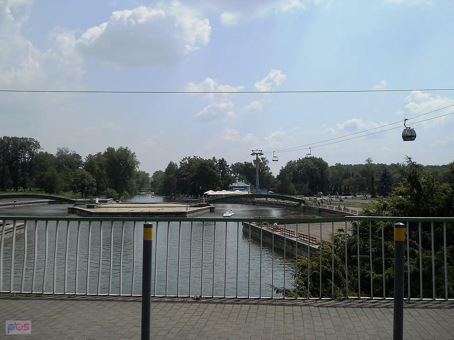 widać cały staw