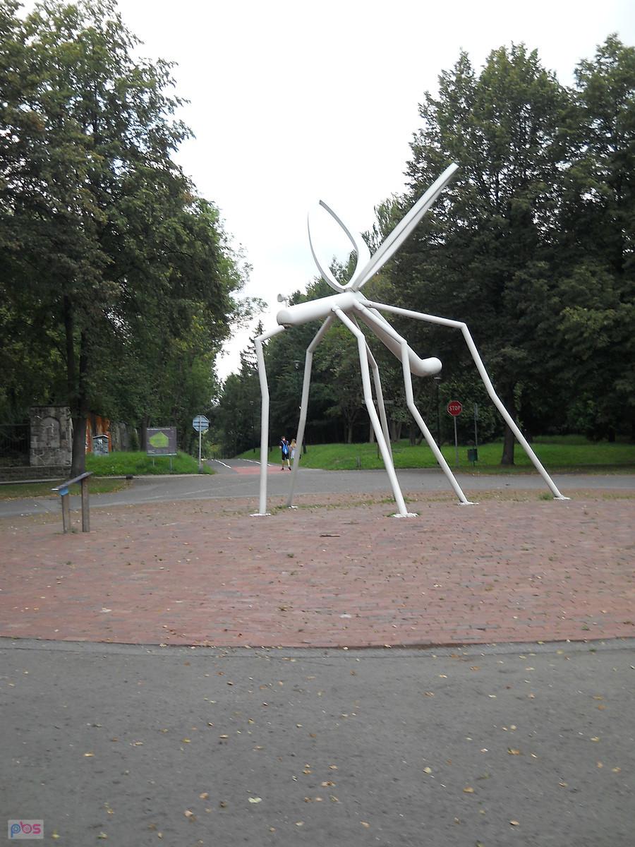 Komar