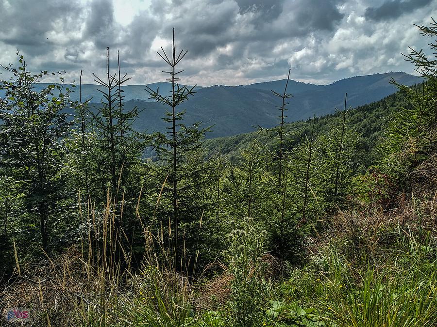 Widok na góry