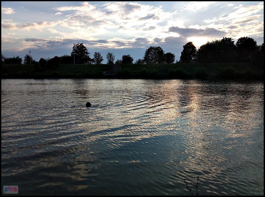 ... a nawet pływa
