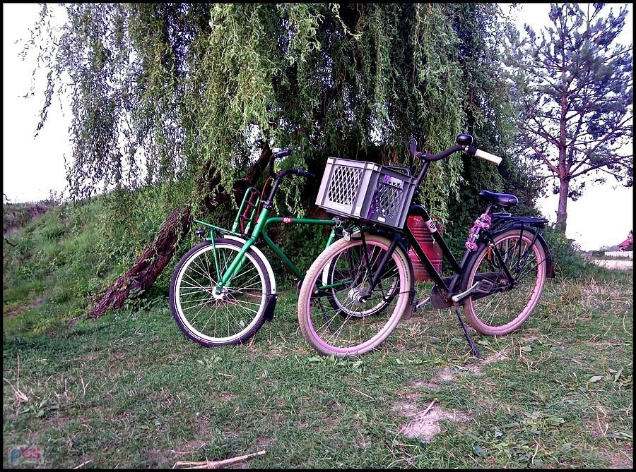 Bubki nas stawem w Żłobiźnie