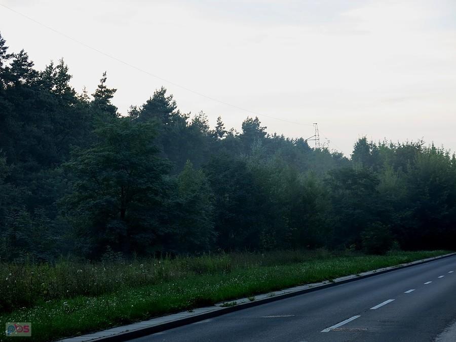 Pojawia się mgła