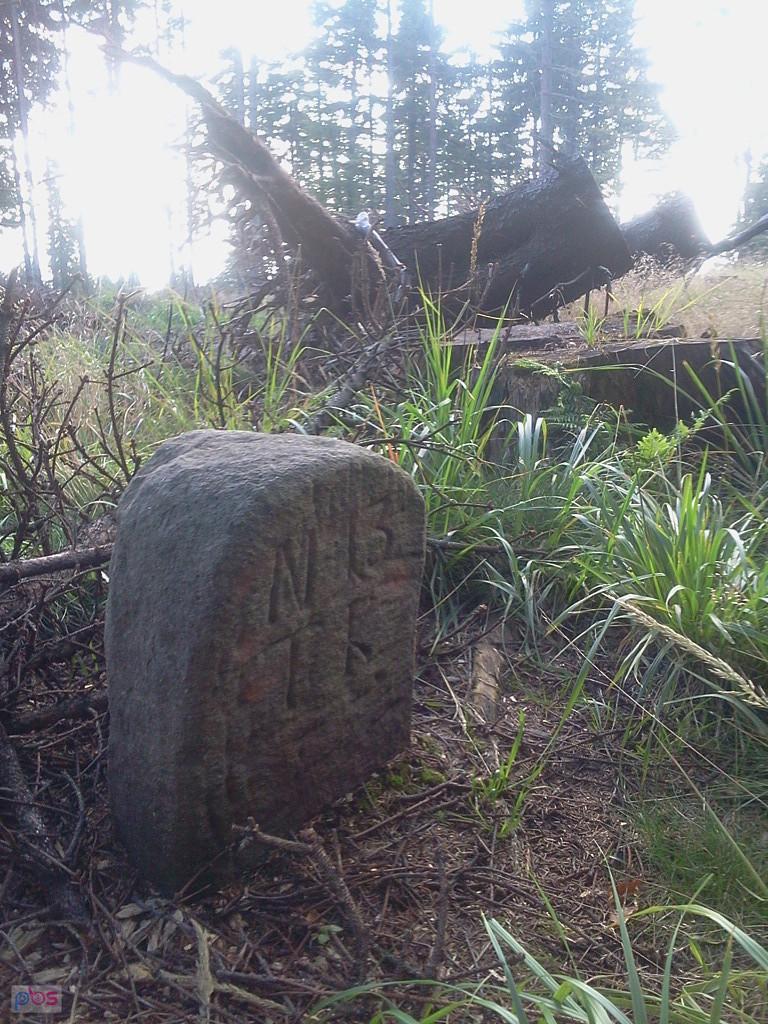 Kamień TK na Praszywej