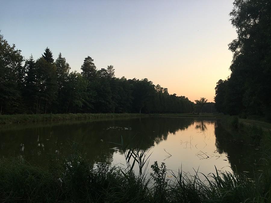 Miała / stawy rybne