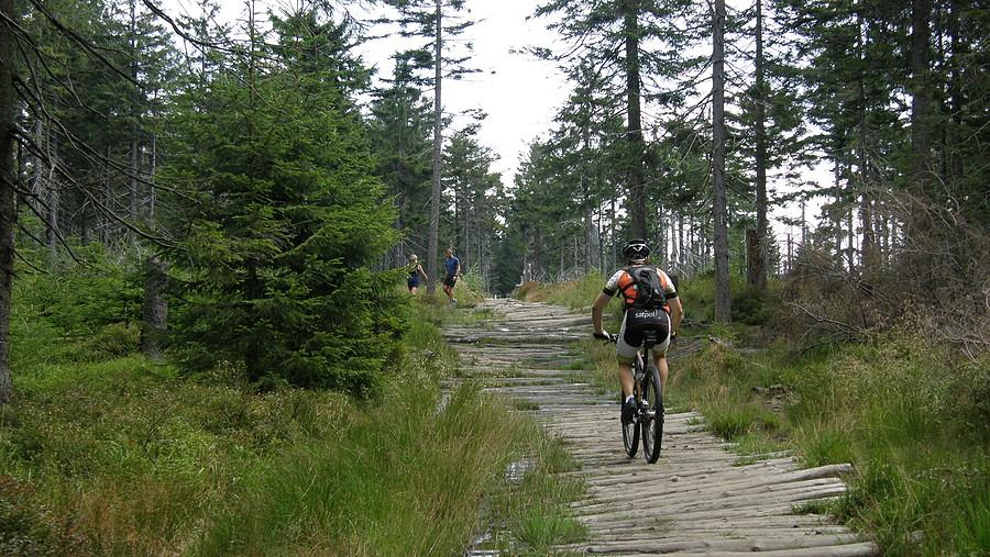 Na szlaku, na wysokości ok 1100 m