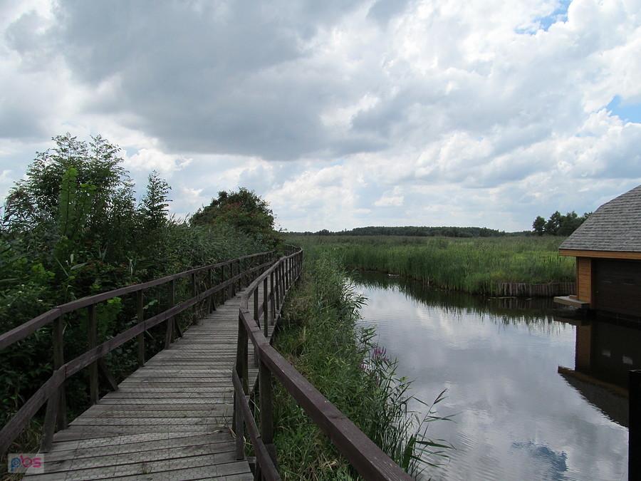 Kurowo i kładka nad rzeką Narew