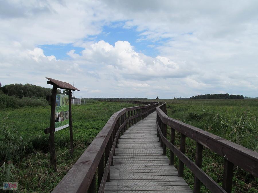 Ta sama kładka - bardzo klimatyczne miejsce
