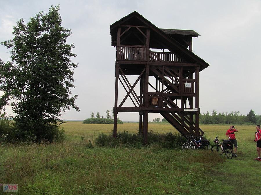 Wieża widokowa
