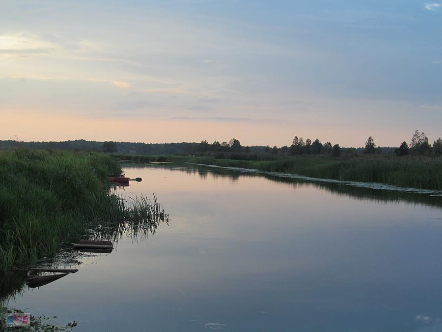 Nad Biebrzą - tuż przy kwaterze