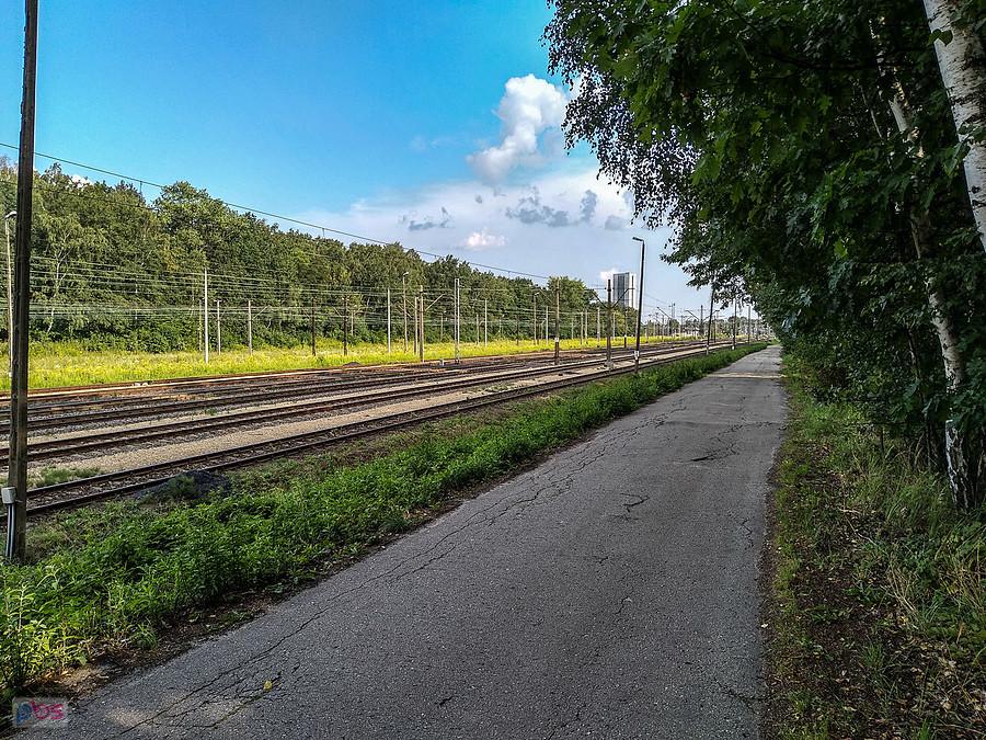 Kierunek hałda na Sośnicy