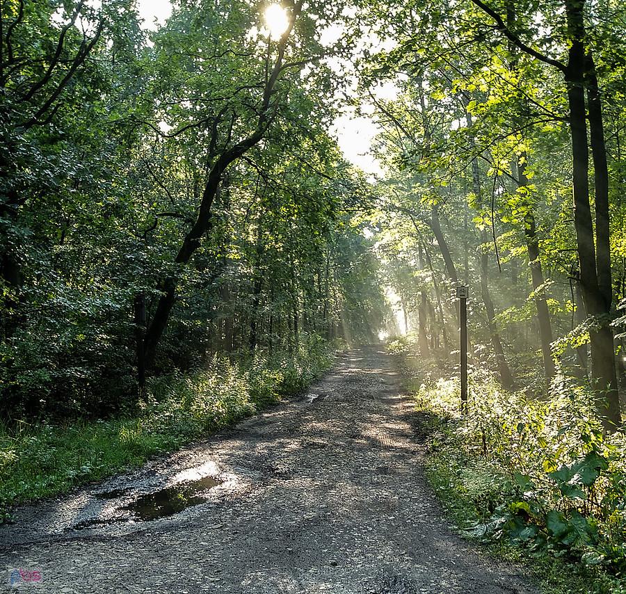 Uwielbiam takie klimaty