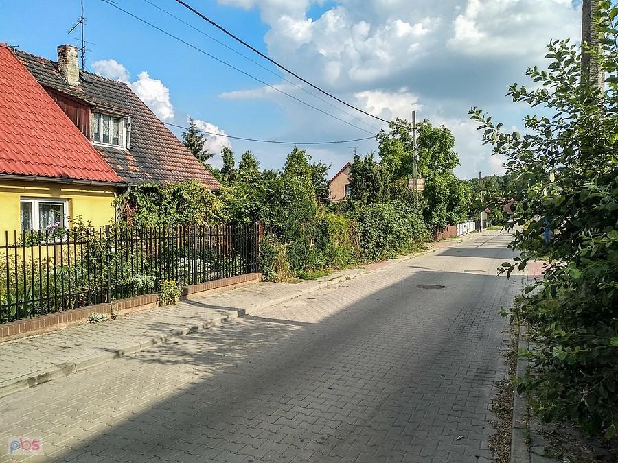 W okolicach lasku Makoszowskiego