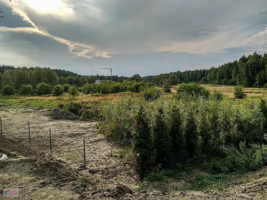 Dolina Kłodnicy - zabudowuje się... a szkoda..