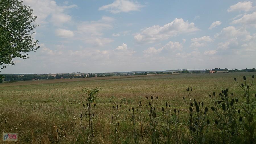 Pola w okolicach Jabłonnej