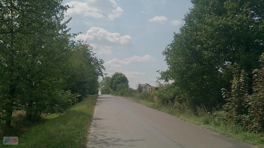 Droga w kierunku Wierciszowa