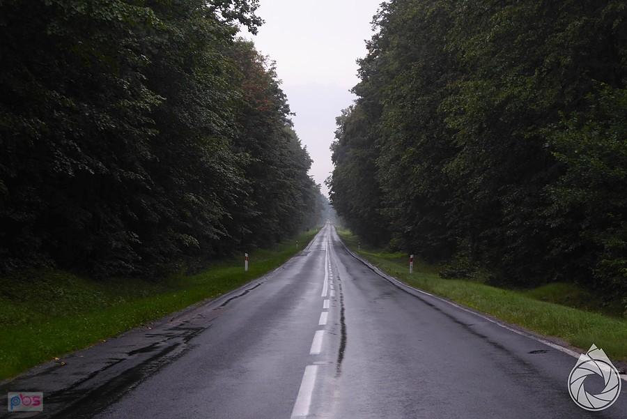 mokre proste za Cieszanowem