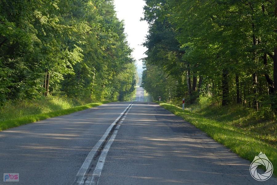 pofalowana droga na zachód