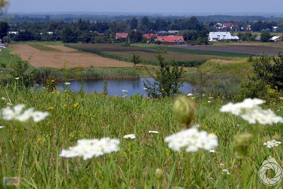 niewielkie bajorko w Wylewie