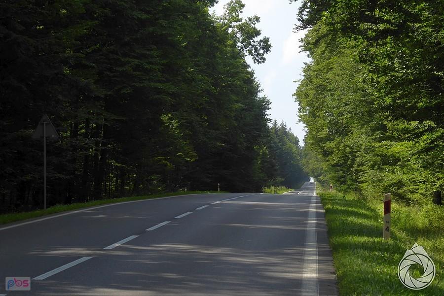 znów pofalowane drogi,tym razem w stronę Sokołowa Małopolskiego