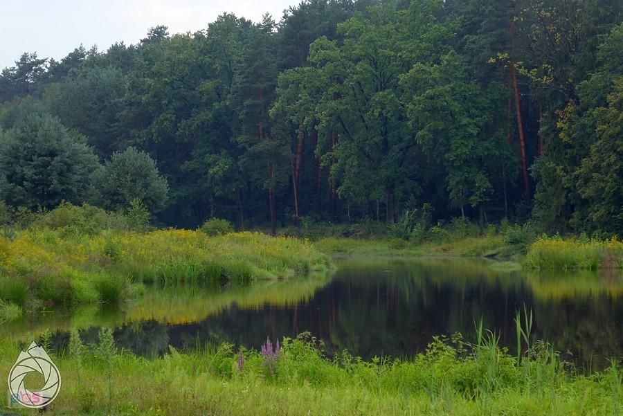 Rajska Dolina koło Raniżowa