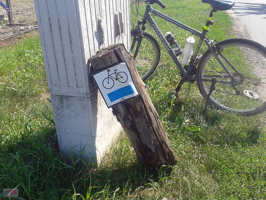 Stoi i czeka na interwencje. Laski, gm. Przykona