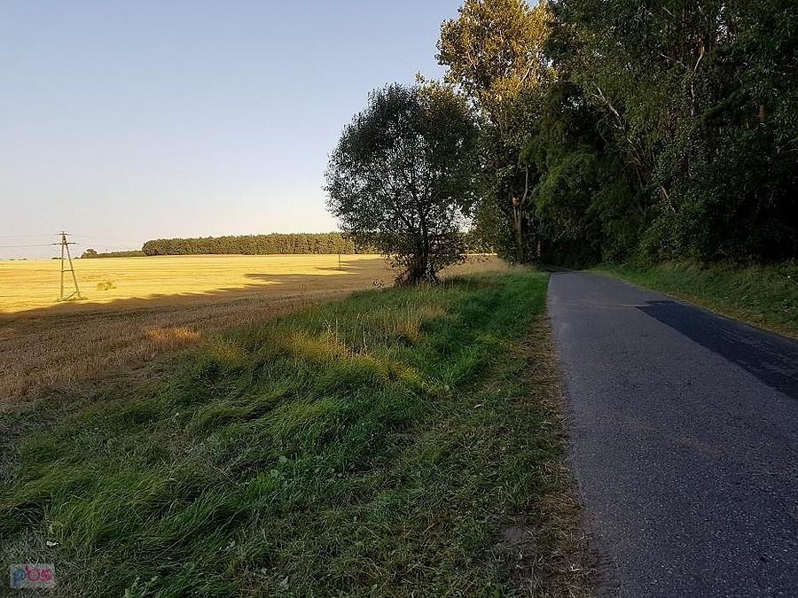 Droga między Poczerninem a Rogowem