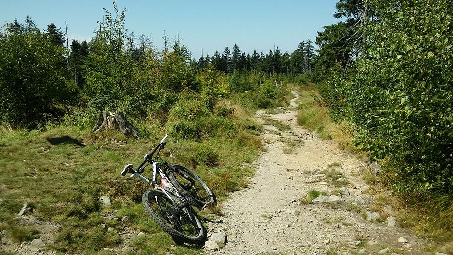 To już wysoko, na szczycie Kiczory (989 m)