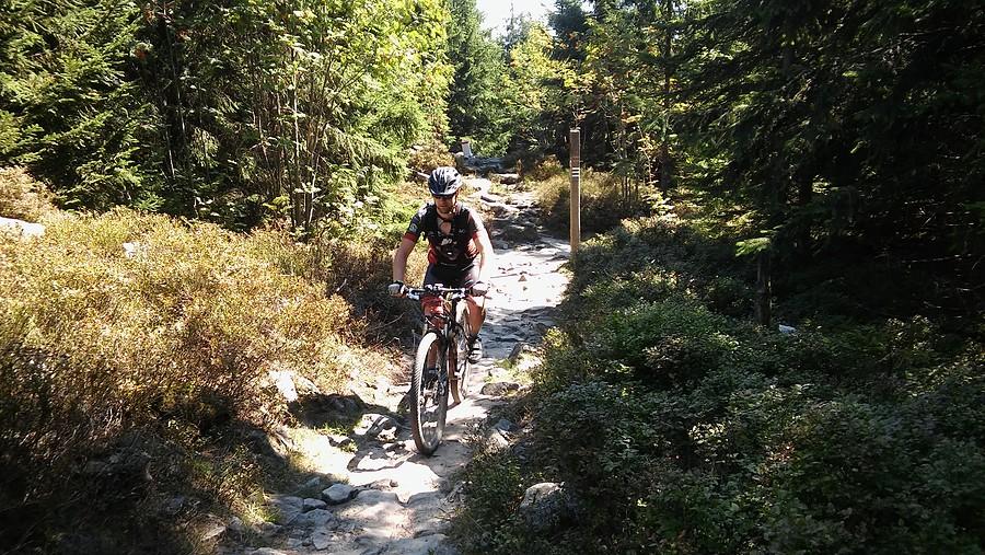 Warunki jakie mieliśmy - w 100% MTB :)