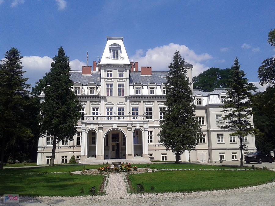 Pałac w Malinie
